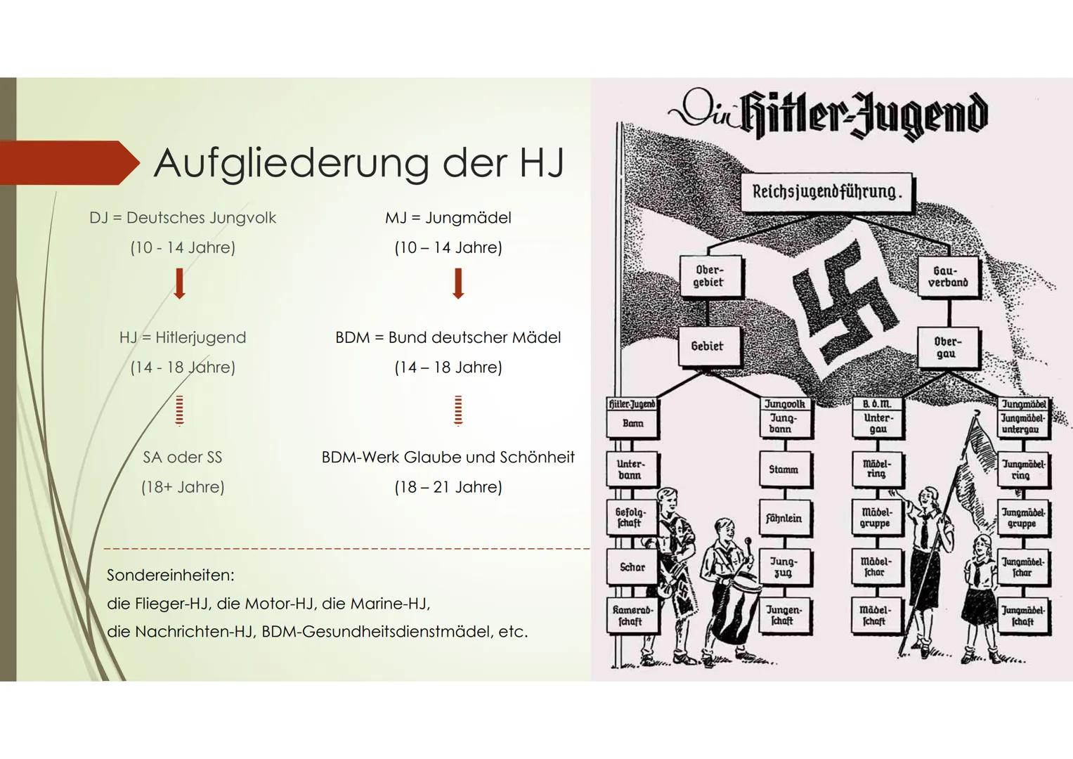 Die Hitlerjugend &
Der Bund deutscher Mädel Gliederung
➡ Die NS-Jugendorganisation
Aufgliederung
➡ Allgemein
➡ Böblingen/Sindelfingen
Hitler