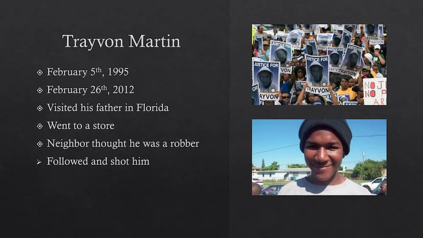 ist in
OWER
210
BEK
MATTER
FUCK the
bo
#BLACK LIVES MATTER
Black Lives matter
Pouya Afzali Tari
57
BLACK
LIVES
MATTER Table of contents
Hist