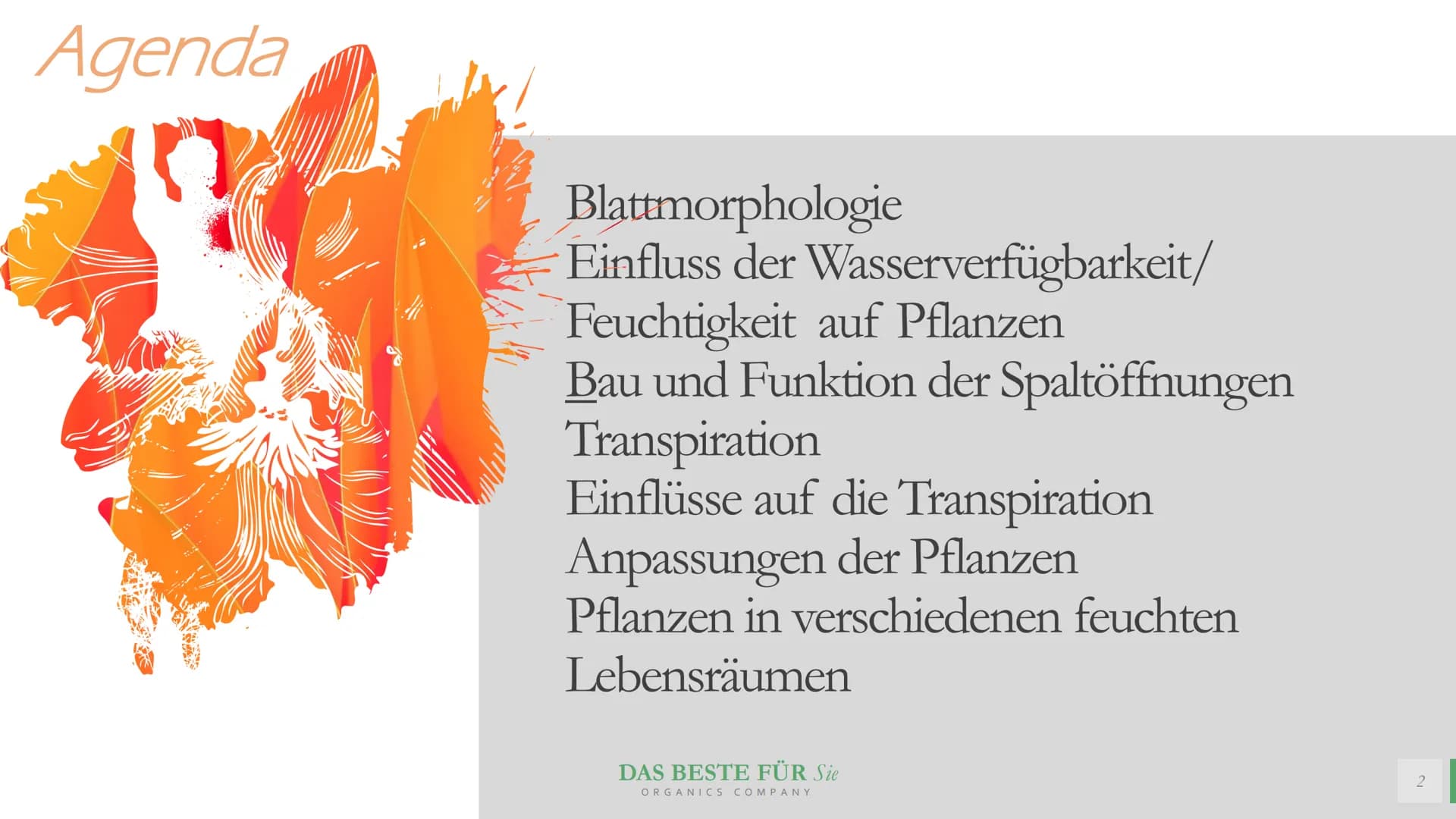 Blattmorphologie
Einfluss von
Feuchtigkeit und
Wasser
Abiotische Faktoren Agenda
{}
Blattmorphologie
Einfluss der Wasserverfügbarkeit/
Feuch
