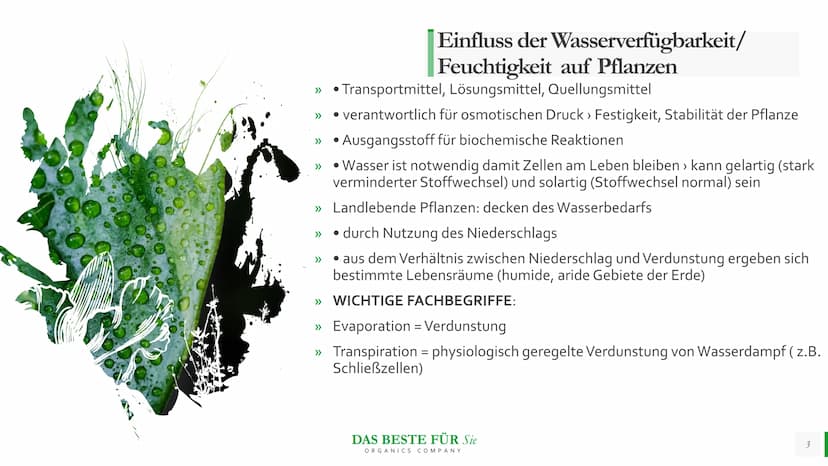 Blattmorphologie
Einfluss von
Feuchtigkeit und
Wasser
Abiotische Faktoren Agenda
{}
Blattmorphologie
Einfluss der Wasserverfügbarkeit/
Feuch