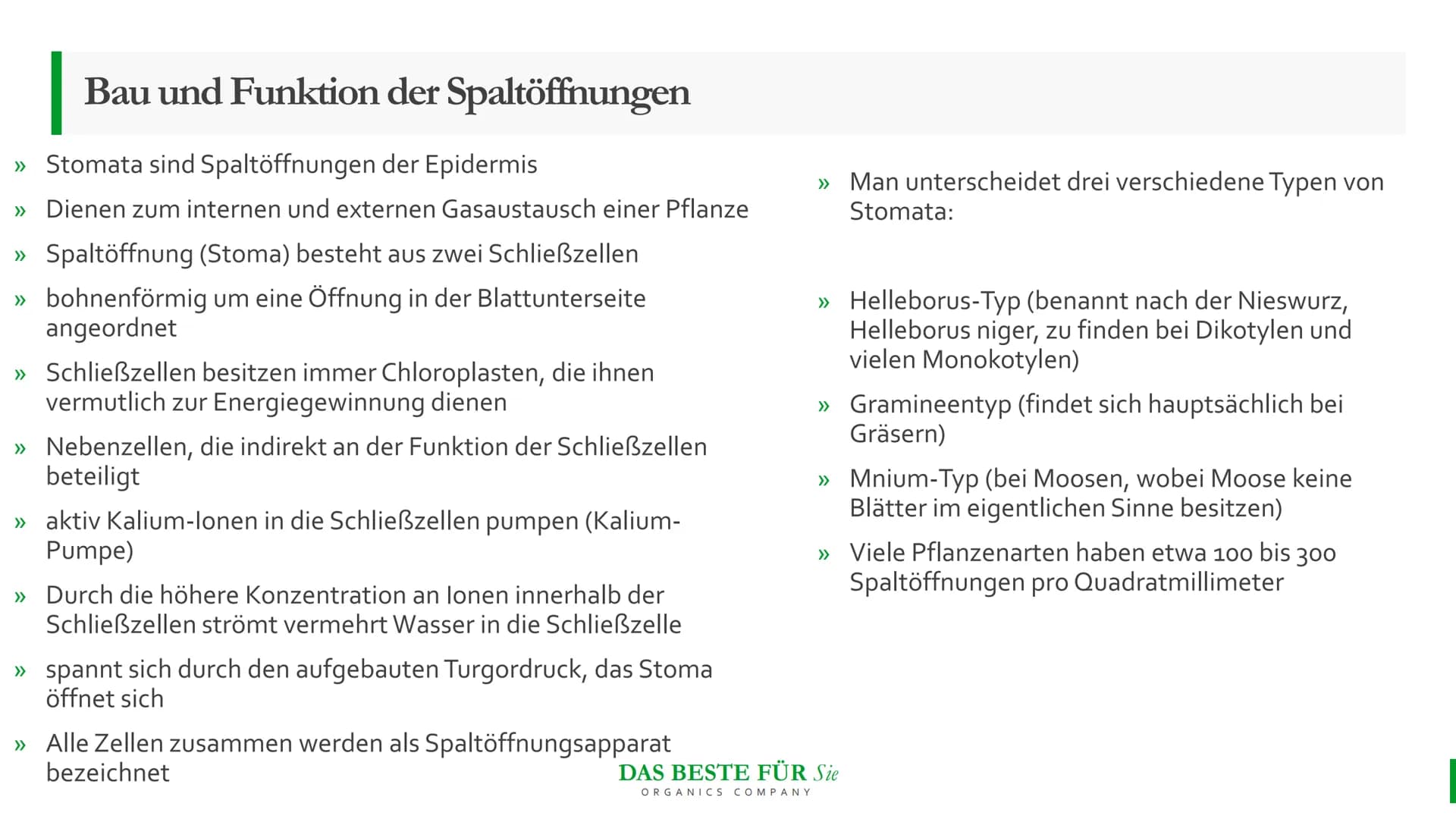 Blattmorphologie
Einfluss von
Feuchtigkeit und
Wasser
Abiotische Faktoren Agenda
{}
Blattmorphologie
Einfluss der Wasserverfügbarkeit/
Feuch