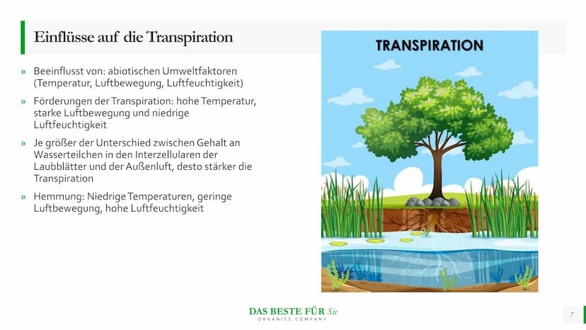 Blattmorphologie
Einfluss von
Feuchtigkeit und
Wasser
Abiotische Faktoren Agenda
{}
Blattmorphologie
Einfluss der Wasserverfügbarkeit/
Feuch