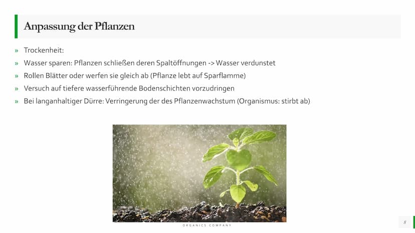 Blattmorphologie
Einfluss von
Feuchtigkeit und
Wasser
Abiotische Faktoren Agenda
{}
Blattmorphologie
Einfluss der Wasserverfügbarkeit/
Feuch