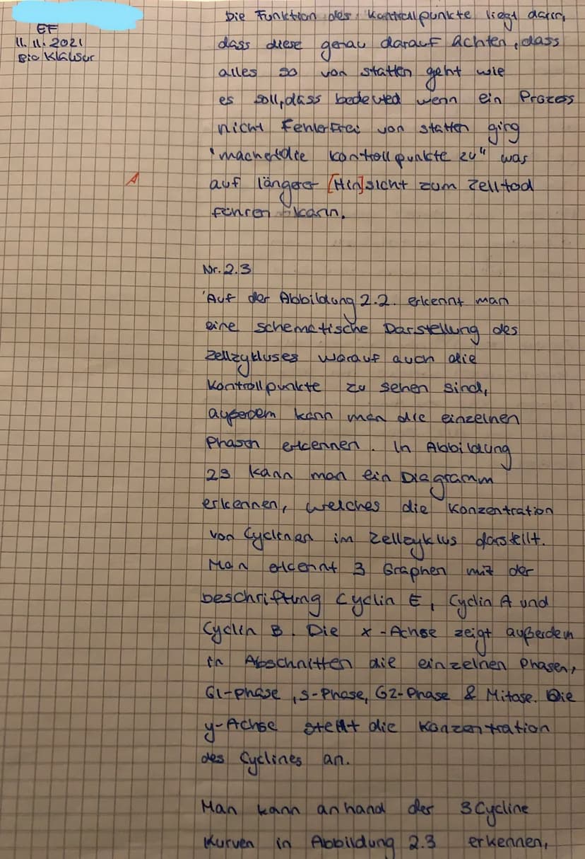 EF Biologie GK 3 -
Material 2.2: Der Zellzyklus
Der Prozess der Zellverdopplung setzt sich aus der Mitose und der Interphase zusammen. Die
I