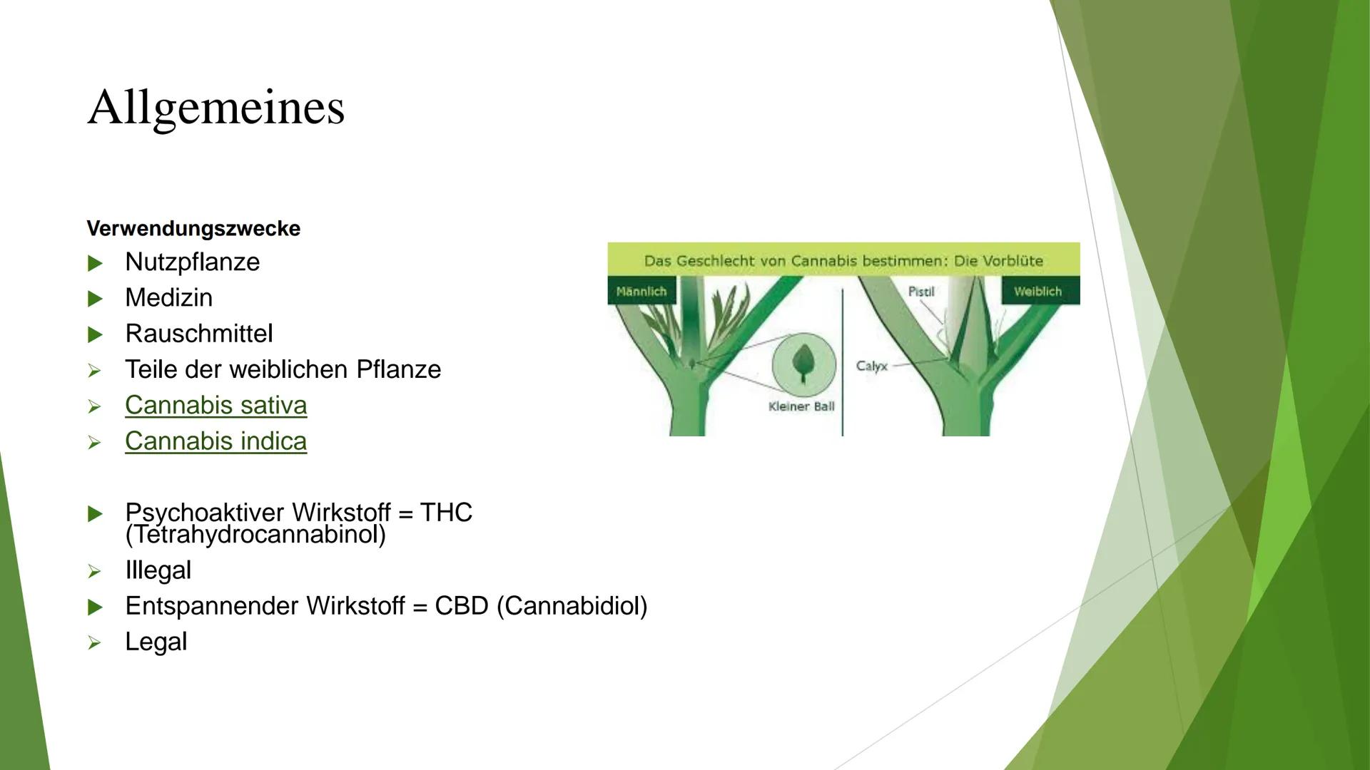 Cannabis als Synapsengift? Gliederung
► Allgemeines
▸ Angriffspunkte auf die Synapse
► Folgen
Neurophysiologisch
> Generell
Quellen Allgemei