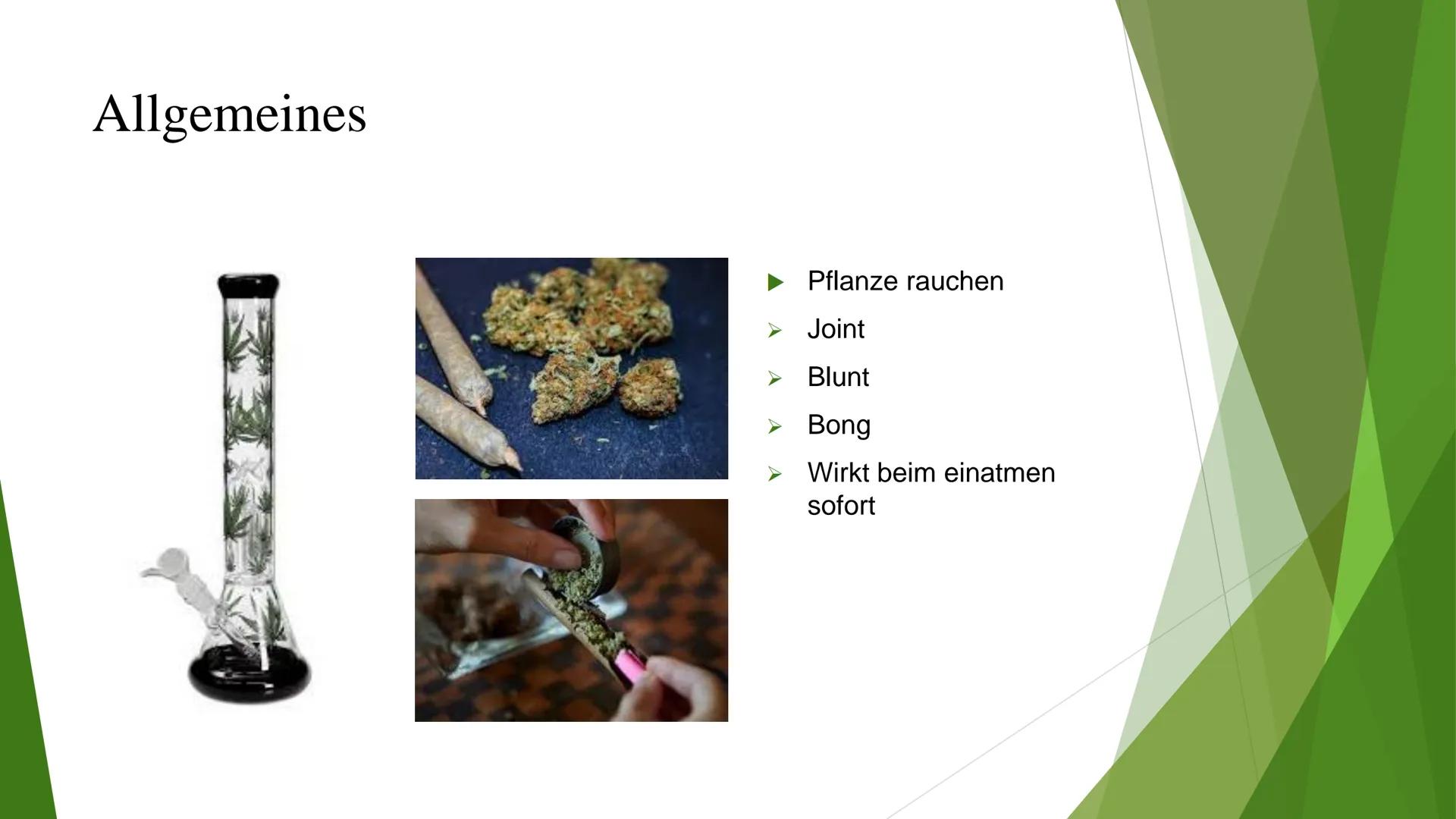 Cannabis als Synapsengift? Gliederung
► Allgemeines
▸ Angriffspunkte auf die Synapse
► Folgen
Neurophysiologisch
> Generell
Quellen Allgemei