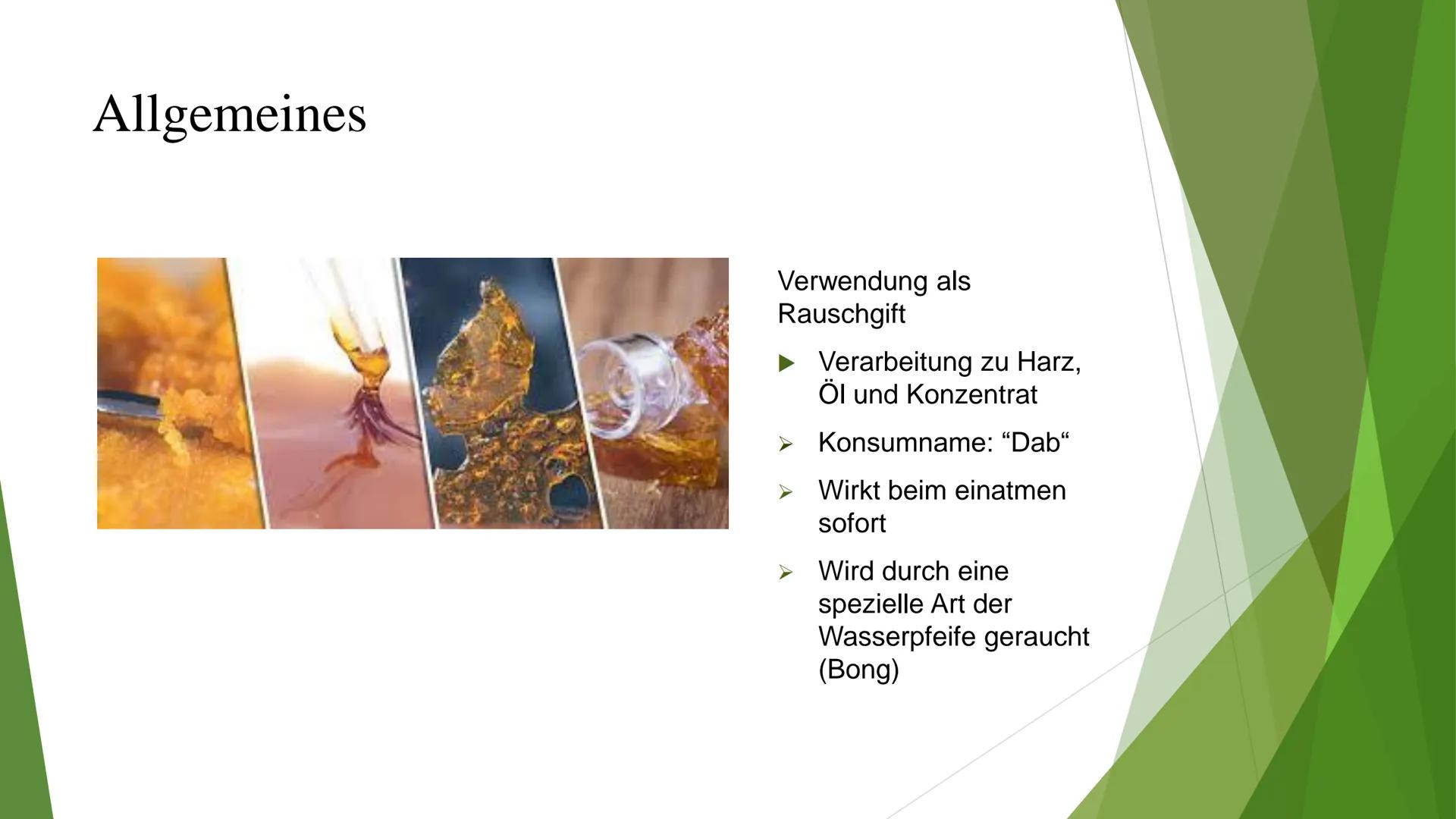 Cannabis als Synapsengift? Gliederung
► Allgemeines
▸ Angriffspunkte auf die Synapse
► Folgen
Neurophysiologisch
> Generell
Quellen Allgemei