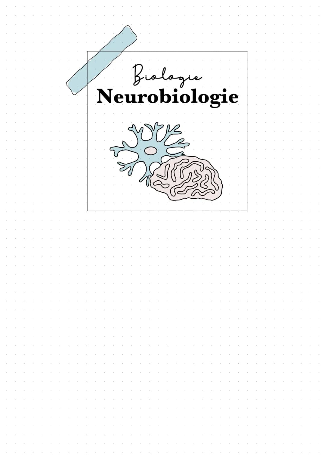 Biologie
Neurobiologie Sinneaphysiologie.
Reiz
Ein Reiz ist eine Einwirkung, die von den Rezeptoren im Lebewesen wahrgenommen wird
äußerer R