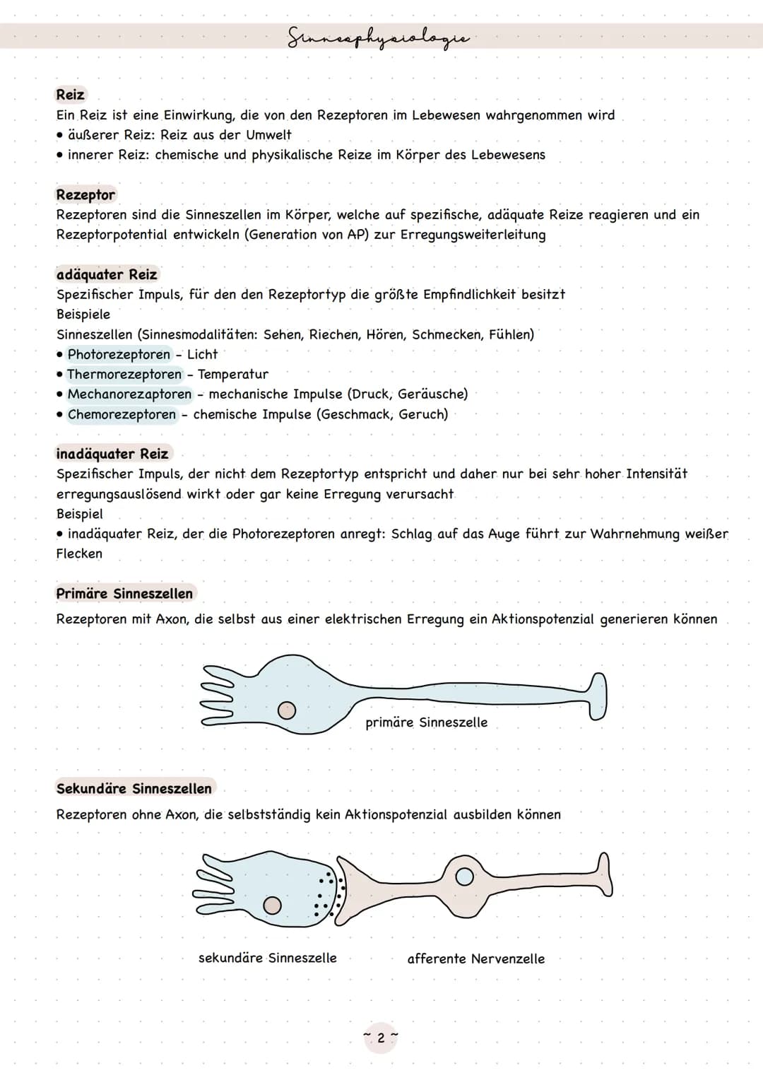 Biologie
Neurobiologie Sinneaphysiologie.
Reiz
Ein Reiz ist eine Einwirkung, die von den Rezeptoren im Lebewesen wahrgenommen wird
äußerer R