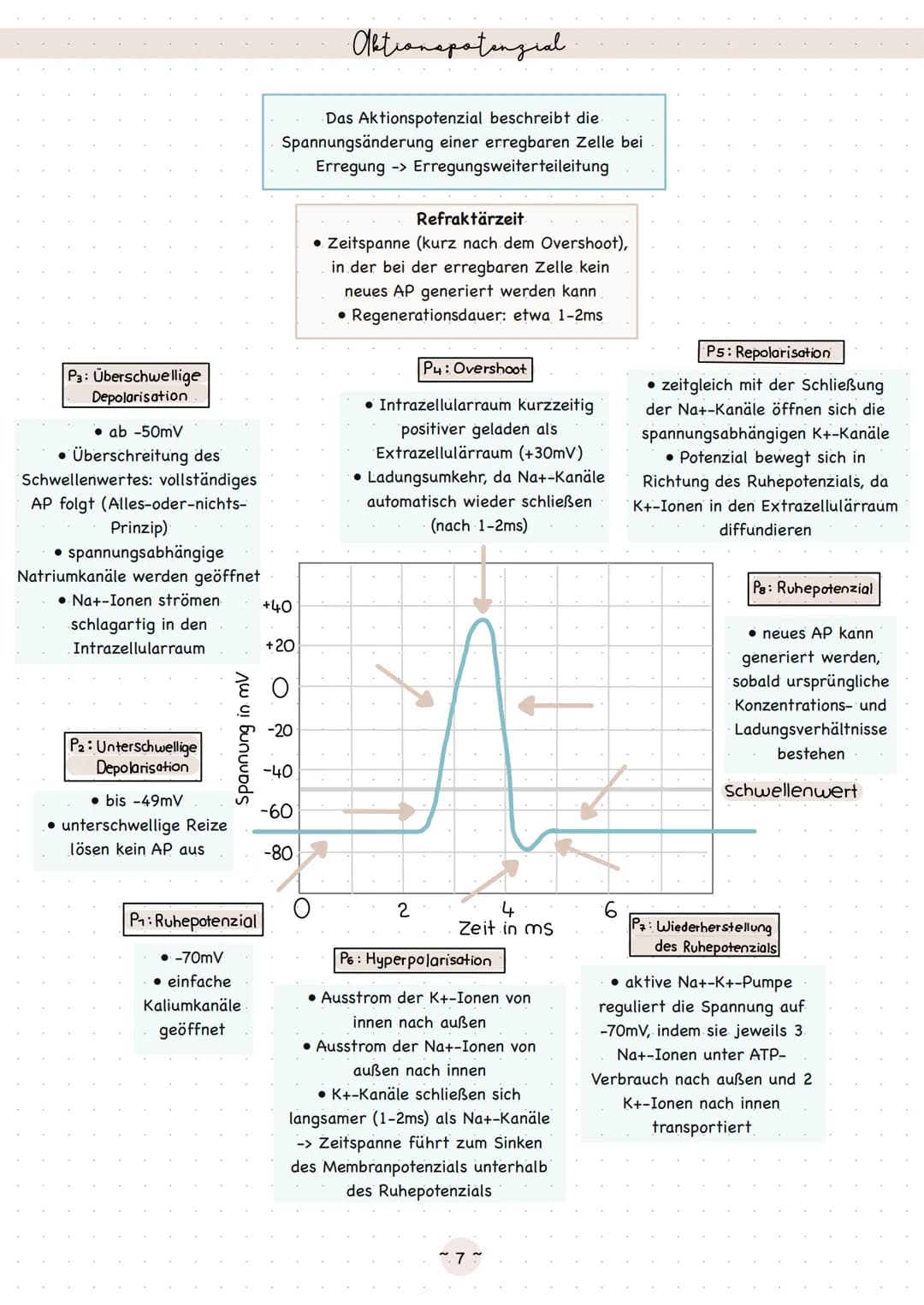 Biologie
Neurobiologie Sinneaphysiologie.
Reiz
Ein Reiz ist eine Einwirkung, die von den Rezeptoren im Lebewesen wahrgenommen wird
äußerer R