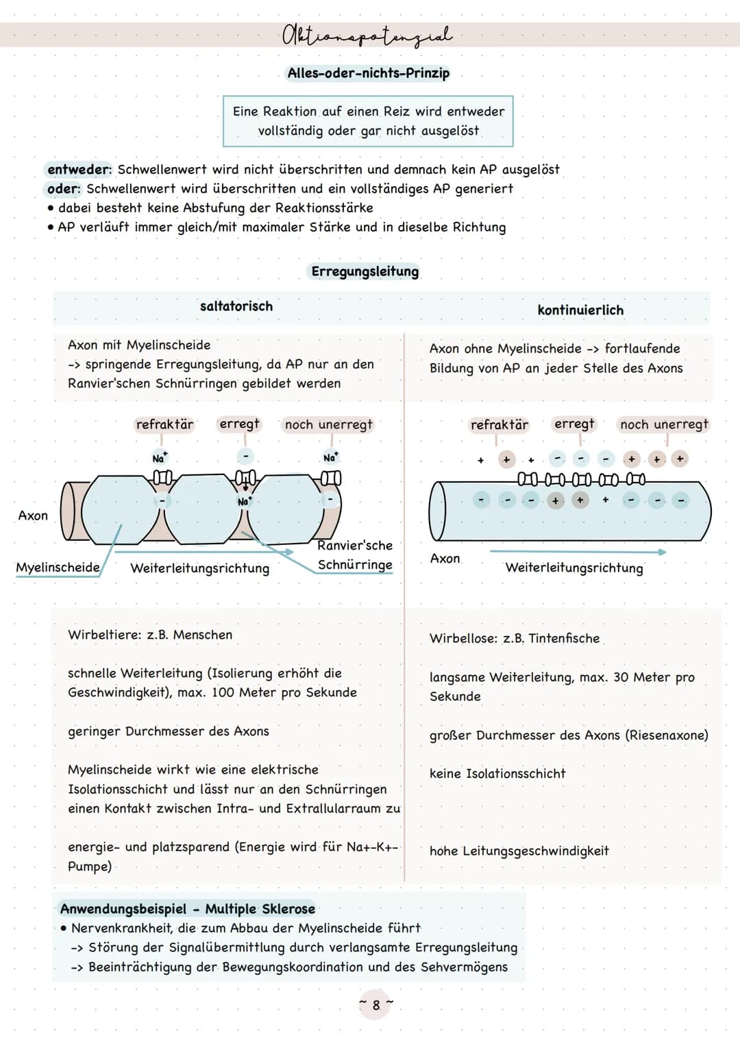 Biologie
Neurobiologie Sinneaphysiologie.
Reiz
Ein Reiz ist eine Einwirkung, die von den Rezeptoren im Lebewesen wahrgenommen wird
äußerer R