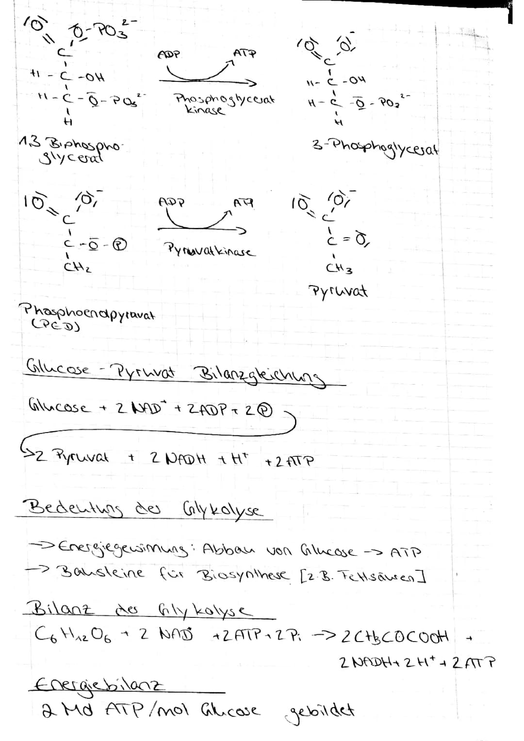Glykolyse