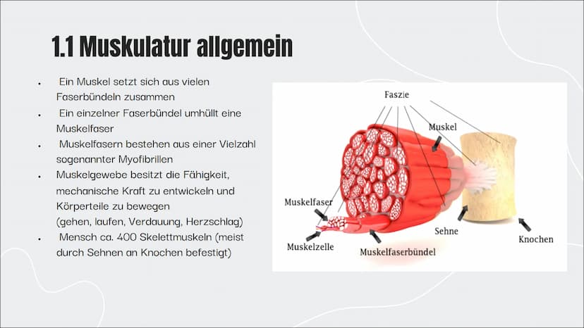 KRAFT
Ein Vortrag von Kimberly Schäfer und
Lavinia Grüner
0 KRAFT
Ein Vortrag von Kimberly Schäfer und
Lavinia Grüner
0 ,,Kraft ist die Fähi