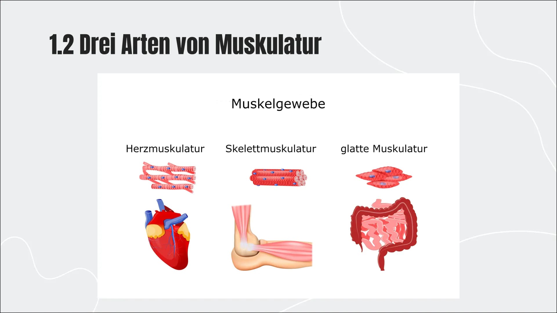 KRAFT
Ein Vortrag von Kimberly Schäfer und
Lavinia Grüner
0 KRAFT
Ein Vortrag von Kimberly Schäfer und
Lavinia Grüner
0 ,,Kraft ist die Fähi