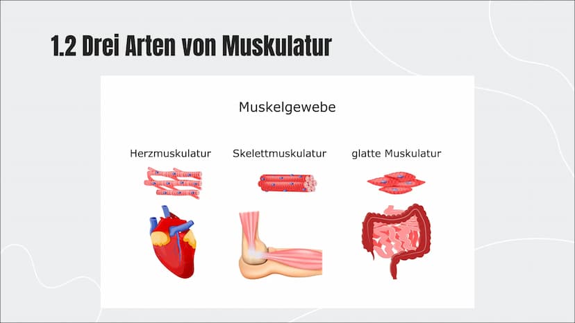 KRAFT
Ein Vortrag von Kimberly Schäfer und
Lavinia Grüner
0 KRAFT
Ein Vortrag von Kimberly Schäfer und
Lavinia Grüner
0 ,,Kraft ist die Fähi