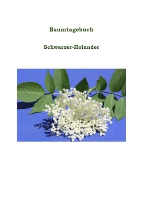 Know Baumtagebuch (Schwarzer Holunder) thumbnail