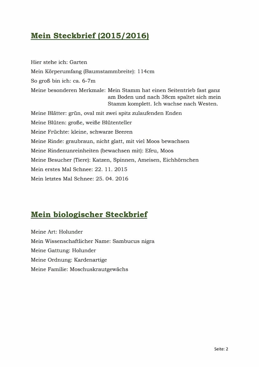 Baumtagebuch
Schwarzer-Holunder Mein Steckbrief (2015/2016)
Hier stehe ich: Garten
Mein Körperumfang (Baumstammbreite): 114cm
So groß bin ic