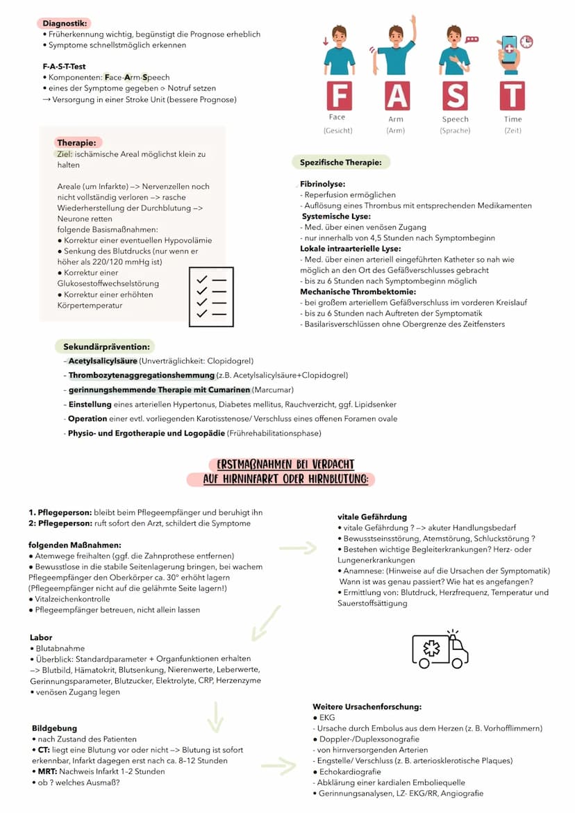 Ischämischer Schlaganfall:
Definition:
• (Ischämie-Minderdurchblutung)
• vermindertes Blutangebot führt zu einem
Sauerstoffmangel der Nerven