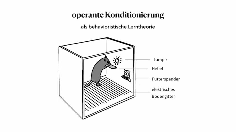 Behaviorismus
Theorie zum Spracherwerb
Jasmina Plum, 01.06.2023 ●
●
die Vertreter der Theorie
• Behaviorismus - Was ist das eigentlich?
Besp