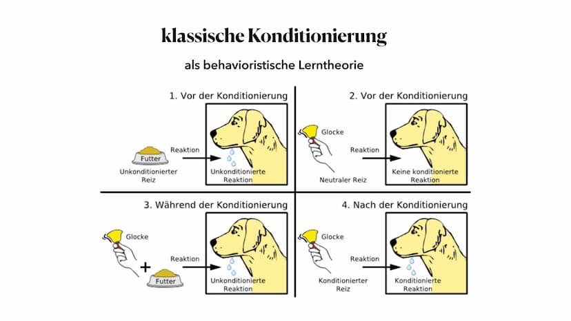 Behaviorismus
Theorie zum Spracherwerb
Jasmina Plum, 01.06.2023 ●
●
die Vertreter der Theorie
• Behaviorismus - Was ist das eigentlich?
Besp