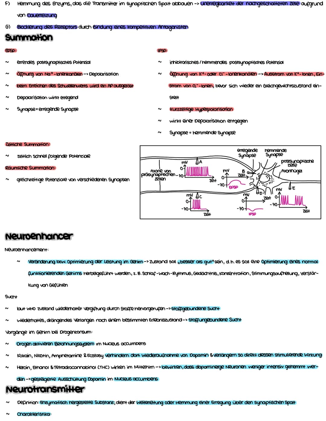 Themenbereiche.
1. Grundlage. Aktions-, membran- und Ruhepotenzial (+ Skizzieren können)
2. Aufbau und vorgänge (an) einer chemischen Synaps