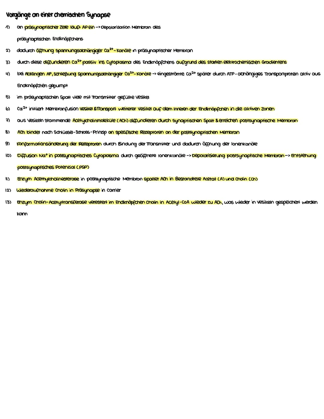 Themenbereiche.
1. Grundlage. Aktions-, membran- und Ruhepotenzial (+ Skizzieren können)
2. Aufbau und vorgänge (an) einer chemischen Synaps