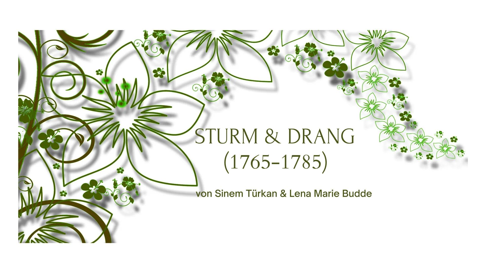 STURM & DRANG
(1765-1785)

von Sinem Türkan & Lena Marie Budde # Inhalt

1. Was ist Sturm & Drang?
2. Historischer Hintergrund
3. Welt- und 