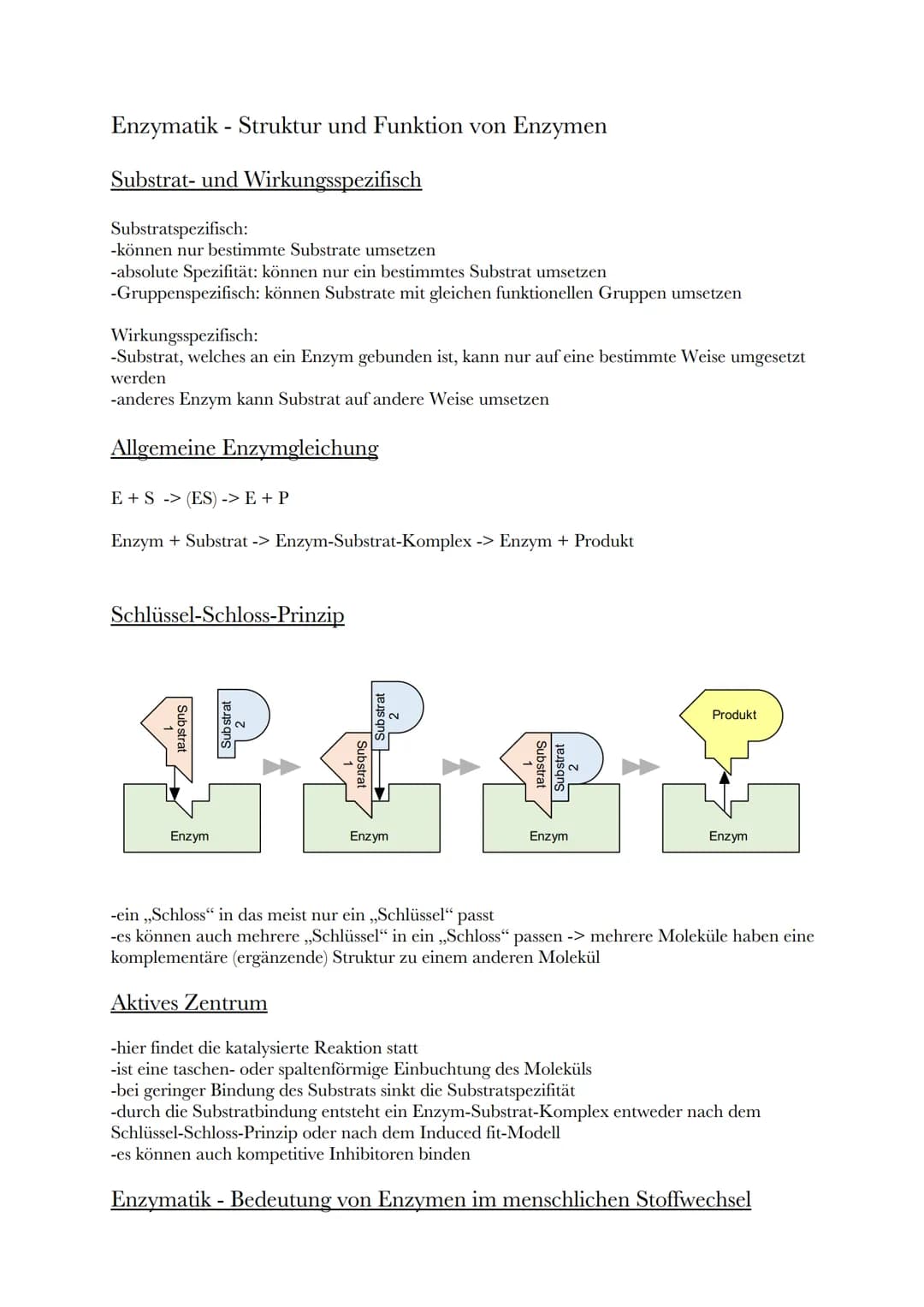 Enzymatik - Struktur und Funktion von Enzymen
Substrat- und Wirkungsspezifisch
Substratspezifisch:
-können nur bestimmte Substrate umsetzen
