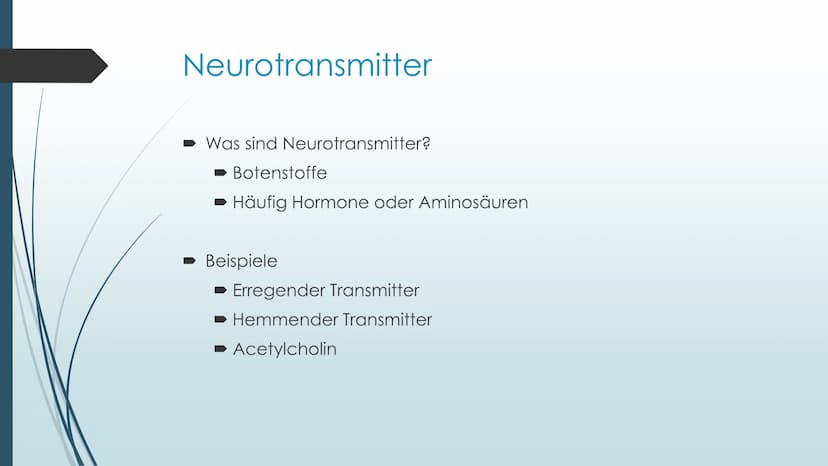 Vorgänge an der Synapse
Neurobiologie Referat von Anna Marjanovic Inhaltsverzeichnis
Wiederholung: Synapsenaufbau
Aufgaben der Bestandteile
