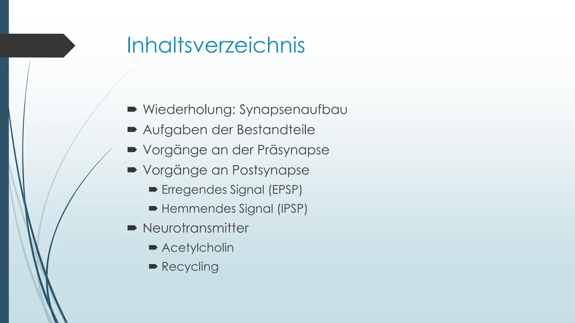 Vorgänge an der Synapse
Neurobiologie Referat von Anna Marjanovic Inhaltsverzeichnis
Wiederholung: Synapsenaufbau
Aufgaben der Bestandteile
