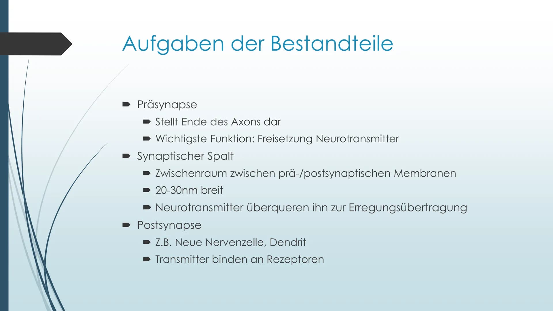 Vorgänge an der Synapse
Neurobiologie Referat von Anna Marjanovic Inhaltsverzeichnis
Wiederholung: Synapsenaufbau
Aufgaben der Bestandteile
