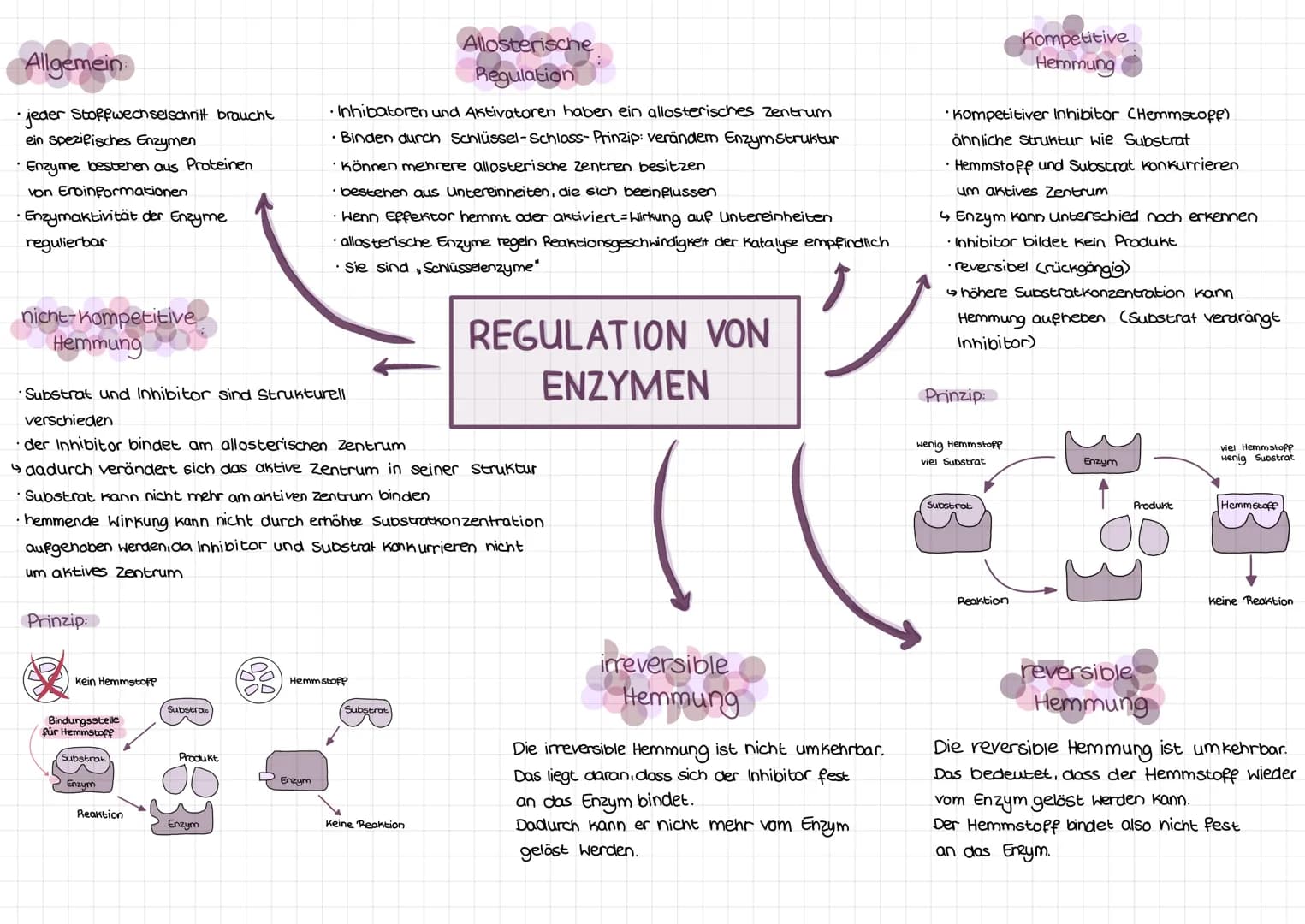 Enzyme
C-Terminus
Teil des Mole küls, der
freie, nicht an Peptid-
bindung beteiligte
Carboxylgruppe enthält
N-Terminus
•vom C-Terminus entge