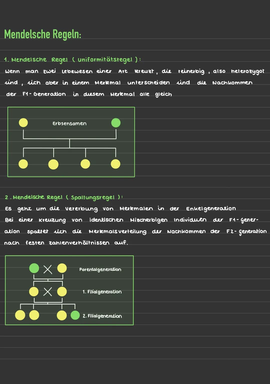 Erbgänge:
=> Erbgänge und die wege, auf denen bestimmte Merkmale von einer
Generation zur nächsten weitergegeben werden.
Diese Merkmale und 