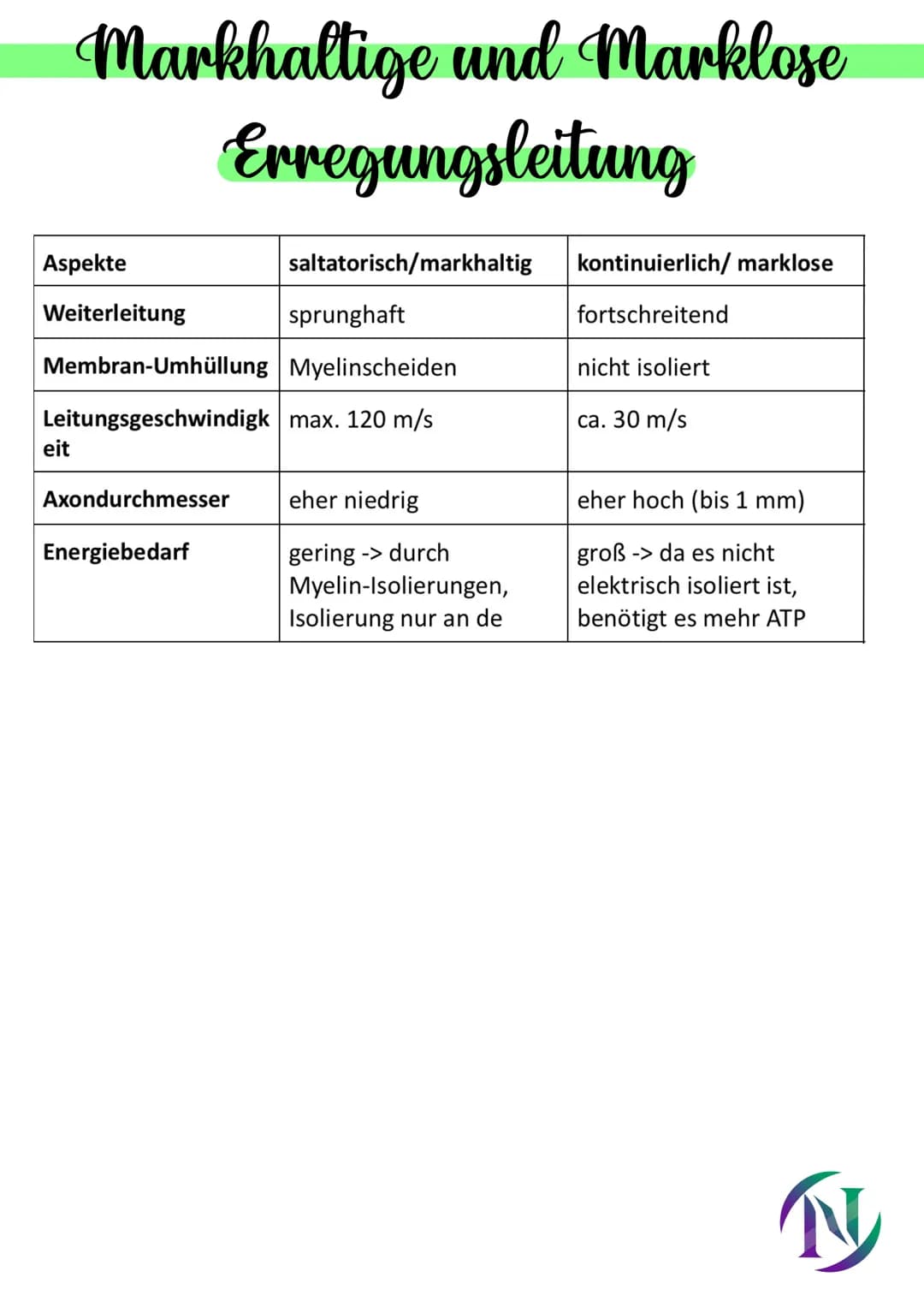 Nervenzelle
-Zelthen
- Dendrit (empfangen Signale)
Soma
-3 Zellkern
-Axonhügel (Signale in AP umgewandelt)
-Schwannsche Zelle
-Myelinscheide