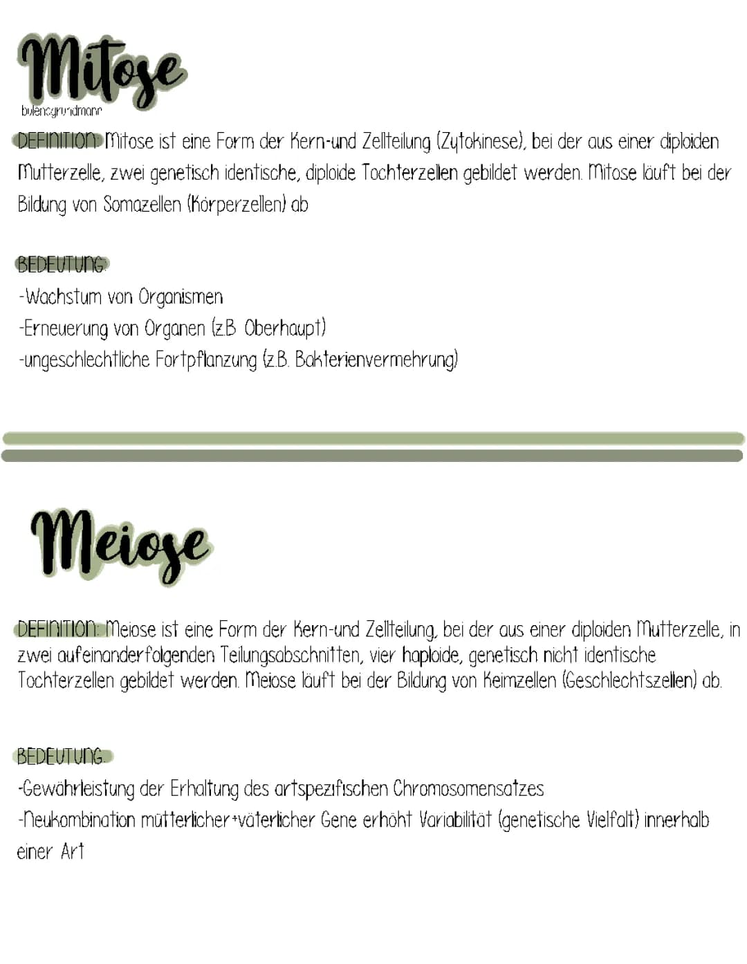 Mitose und Meiose