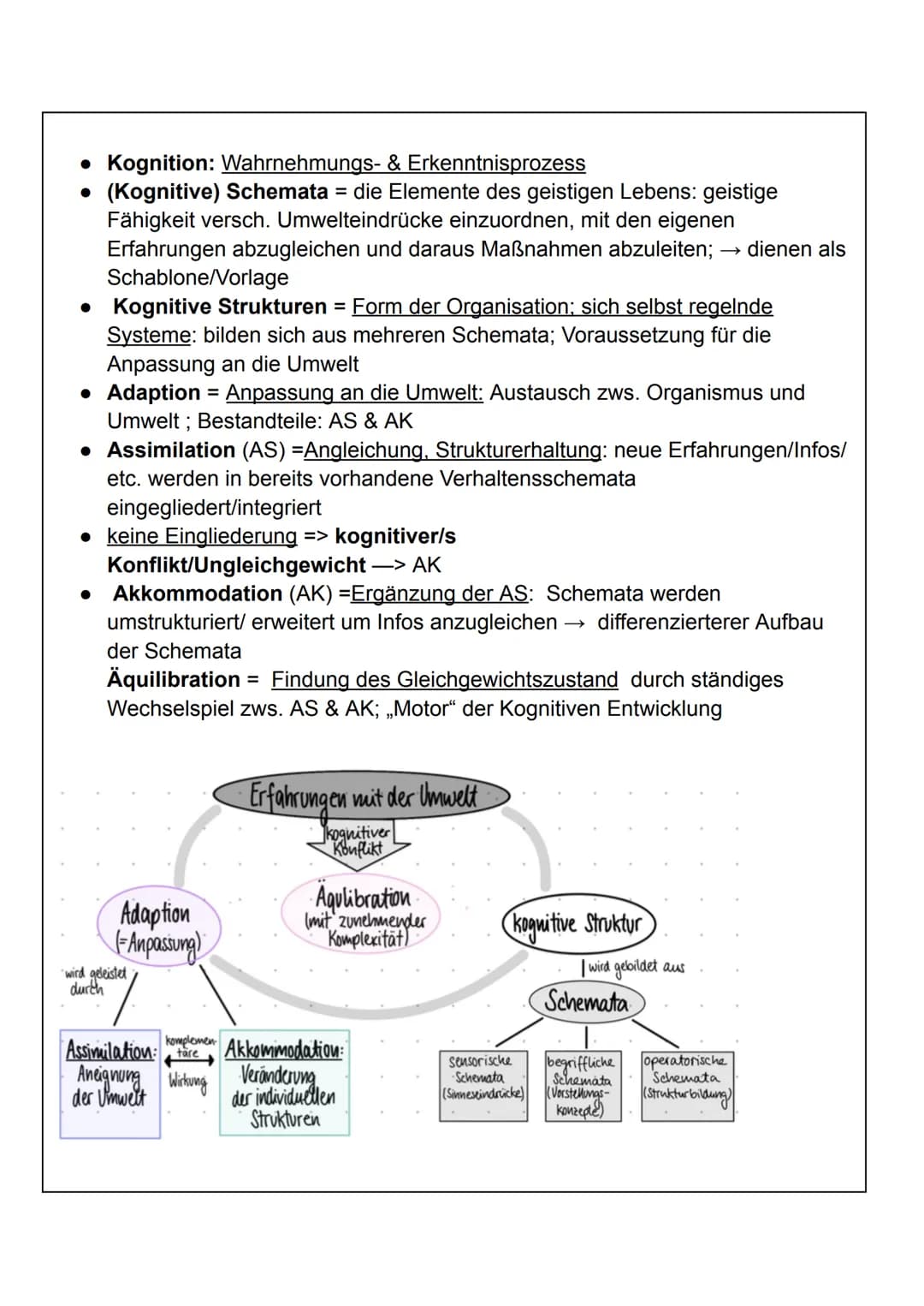 1. Jean Piaget
Pädagogik - Piaget Handout
1. Grudanahme:
• Handeln & Denken stehen in engem Zusammenhang miteinander
,,Kinder sind Konstrukt