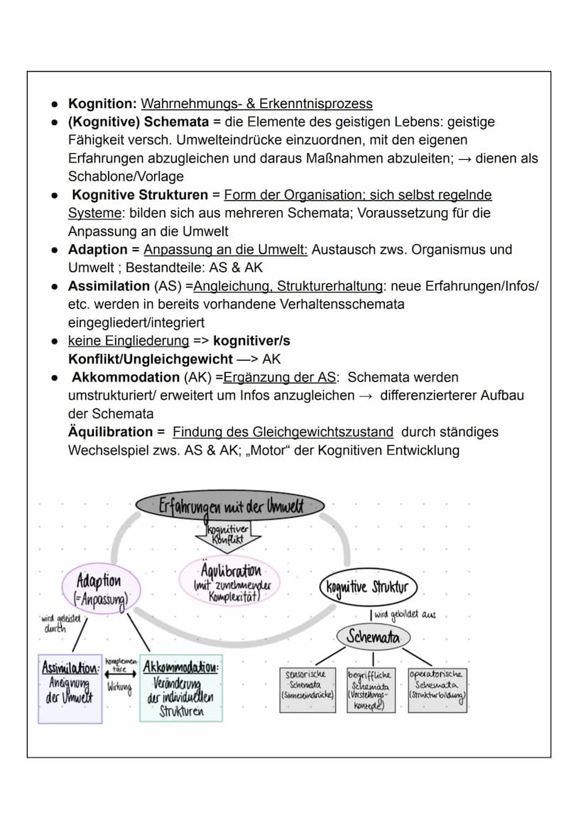 1. Jean Piaget
Pädagogik - Piaget Handout
1. Grudanahme:
• Handeln & Denken stehen in engem Zusammenhang miteinander
,,Kinder sind Konstrukt