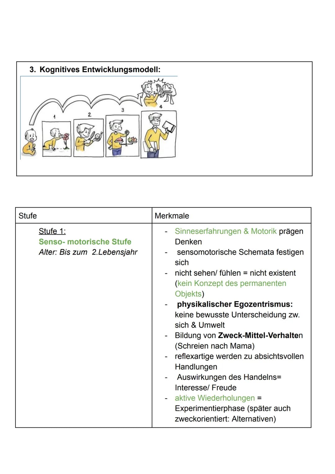 1. Jean Piaget
Pädagogik - Piaget Handout
1. Grudanahme:
• Handeln & Denken stehen in engem Zusammenhang miteinander
,,Kinder sind Konstrukt