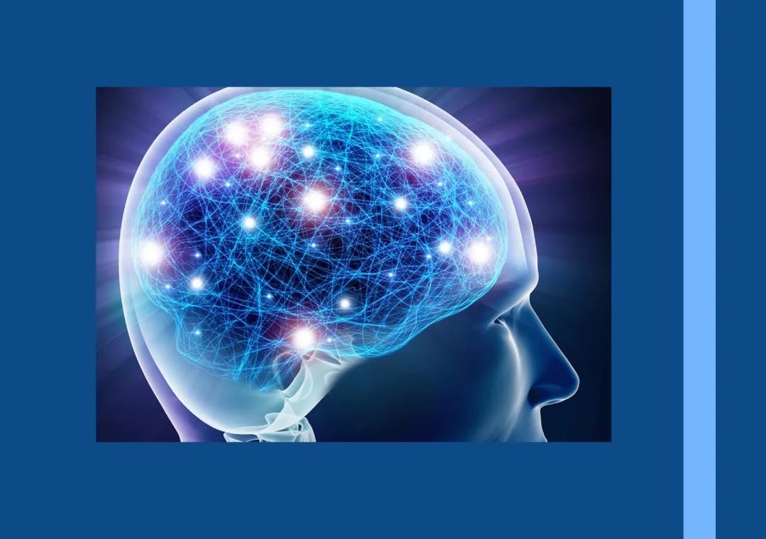 Nervenzelle Aufbau und Funktion: Entdecke den Neuron im PDF