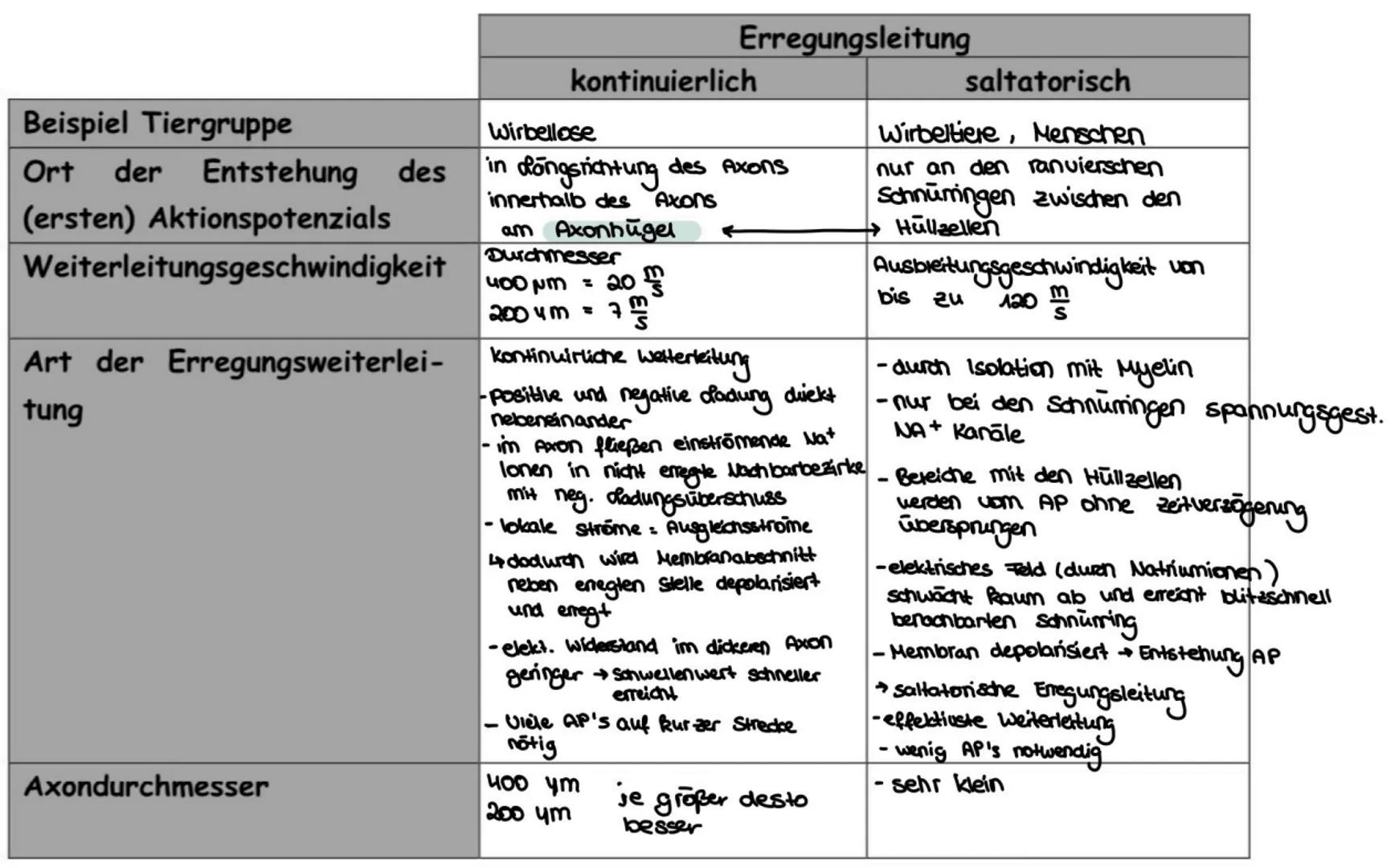  I Nervensystem
Informationsaufnahme und Informationsverarbeitung
Nervimpuls kann
Reiz
Rezeptor
ZNS (Genim, Rückenmark)
sensorische Nervenfa