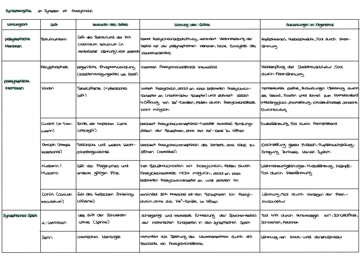  I Nervensystem
Informationsaufnahme und Informationsverarbeitung
Nervimpuls kann
Reiz
Rezeptor
ZNS (Genim, Rückenmark)
sensorische Nervenfa