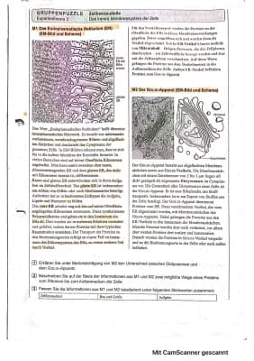 Know Endoplasmatisches Retikulum & Golgi–Apparat thumbnail