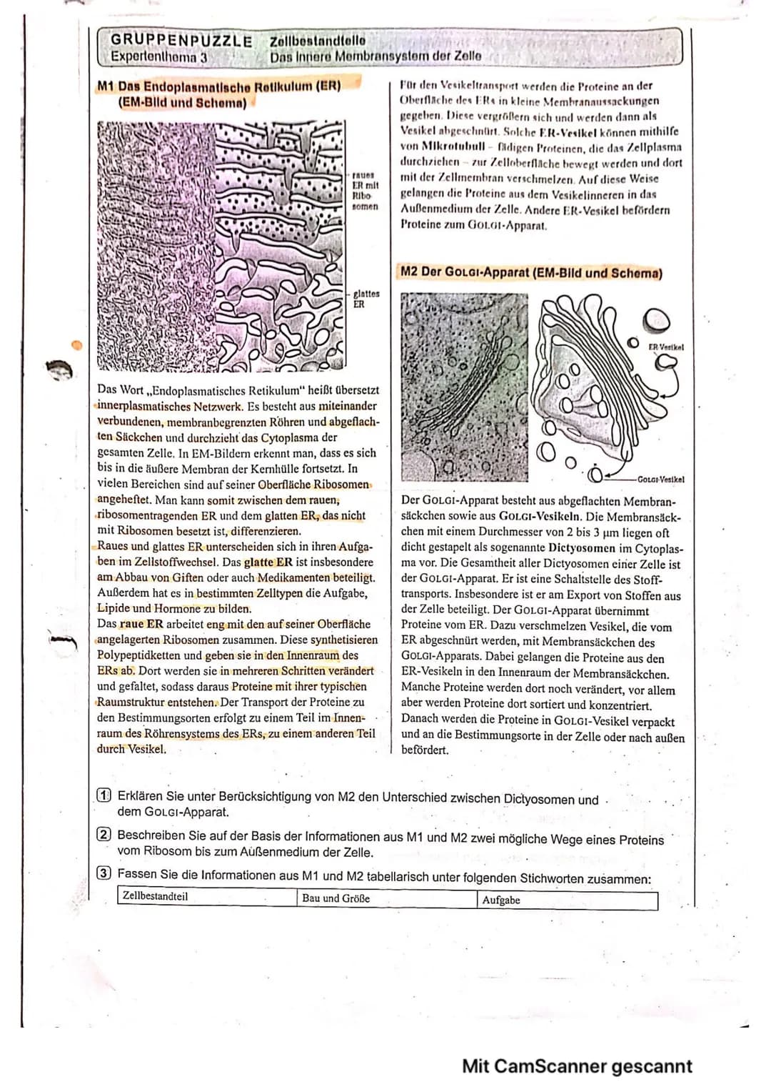 GRUPPENPUZZLE
Expertenthema 3
Zellbestandtelle
Das Innere Membransystem der Zelle
M1 Das Endoplasmatische Retikulum (ER)
(EM-Bild und Schema