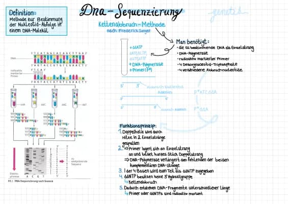 Know DNA-Sequenzierung  thumbnail