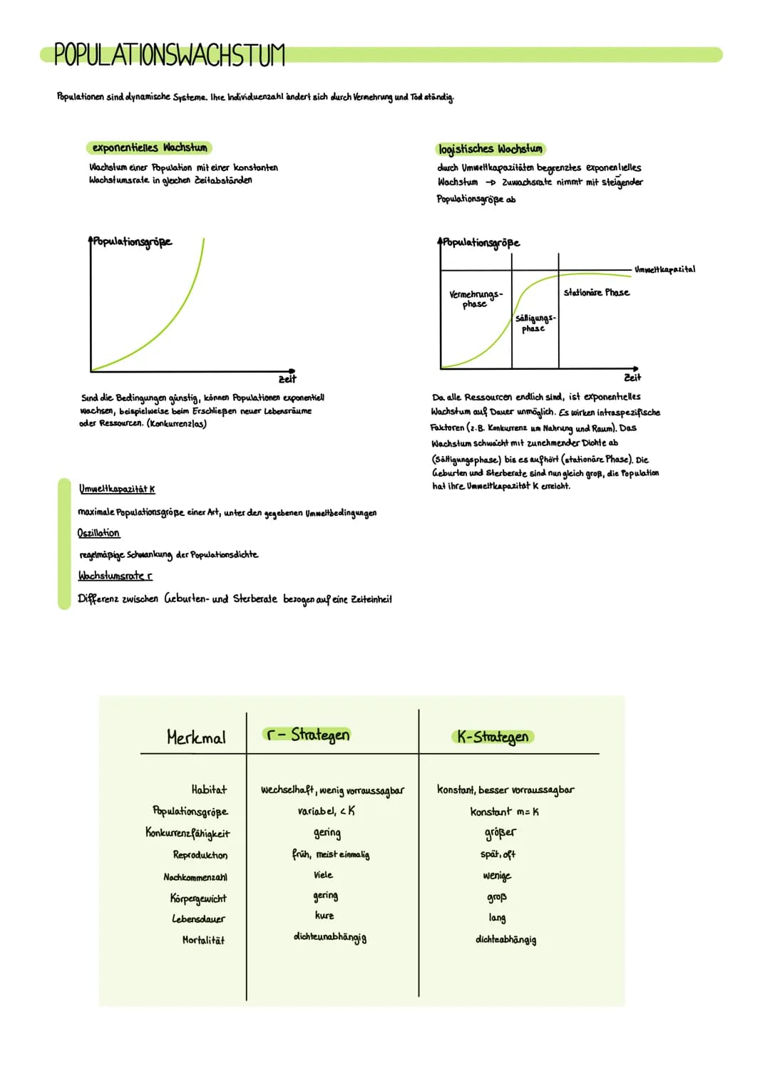 POPULATIONSWACHSTUM
Populationen sind dynamische Systeme. Ihre Individuenzahl ändert sich durch Vermehrung und Tod ständig.
exponentielles W