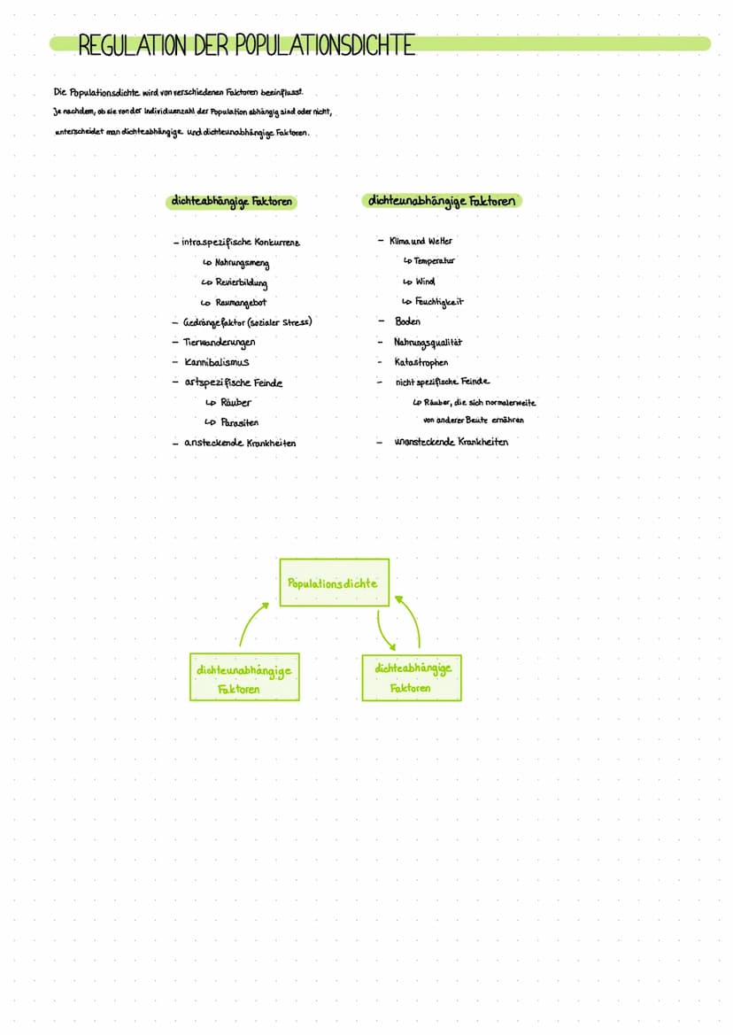 POPULATIONSWACHSTUM
Populationen sind dynamische Systeme. Ihre Individuenzahl ändert sich durch Vermehrung und Tod ständig.
exponentielles W