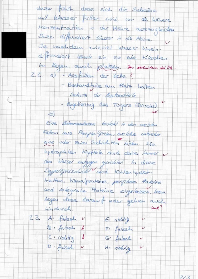 Zellbiologie
Name:
1.
1.2.
Kurs: 11/3
Zelle und Zellkompartimente
1.1. Ordnen Sie den Ziffern in dem dargestellten
elektronenmikroskospische