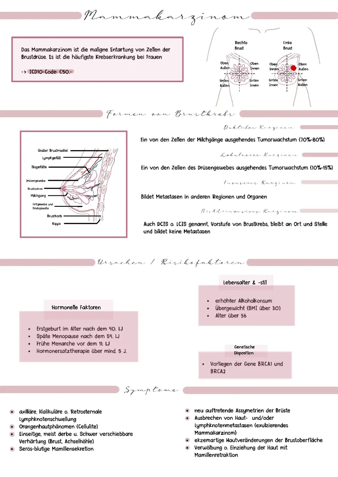 Steckbrief Brustkrebs 