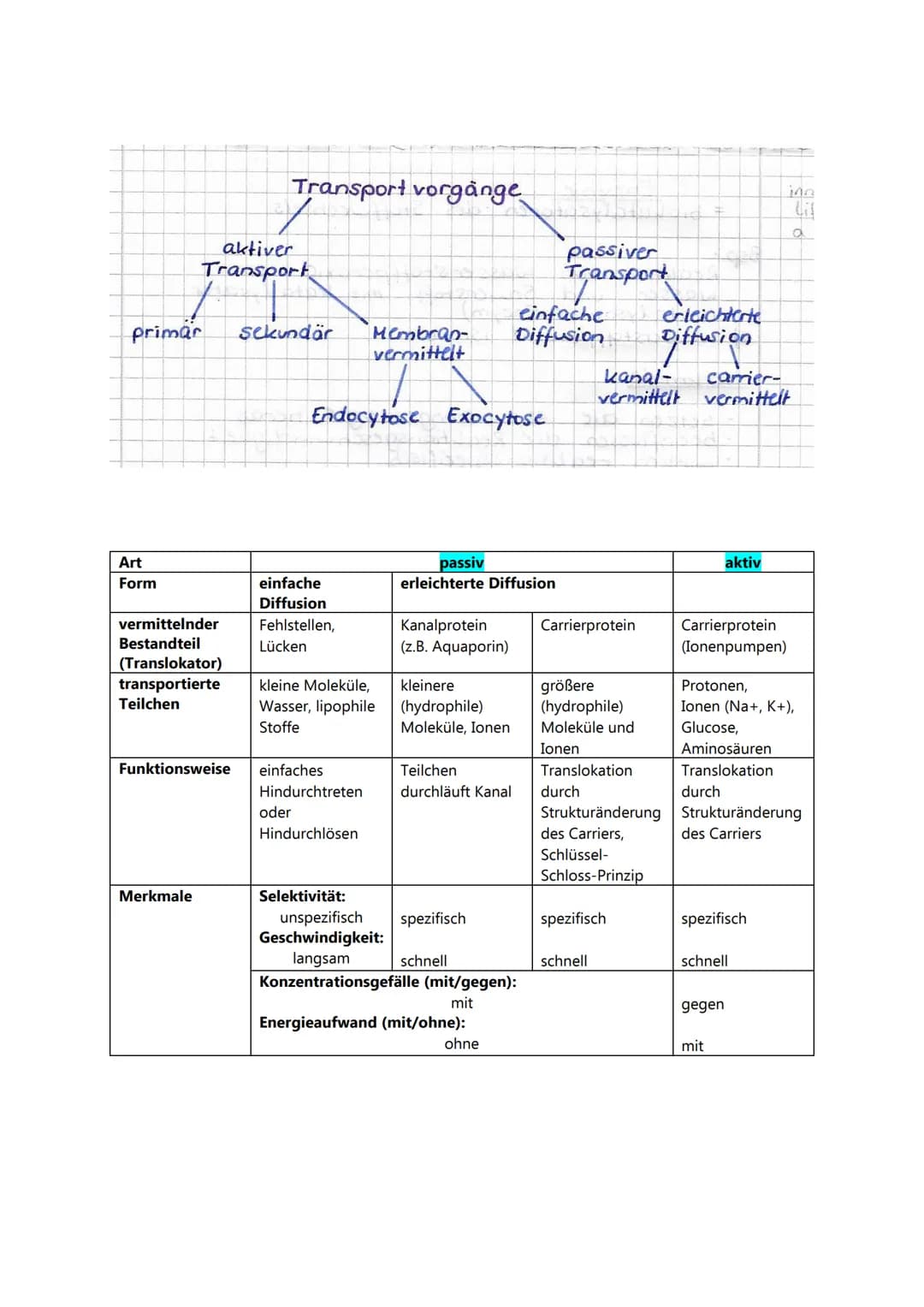 Art
Form
primar sekundär Membran-
vermittelt
Transport vorgänge
aktiver
Transport
vermittelnder
Bestandteil
(Translokator)
transportierte
Te