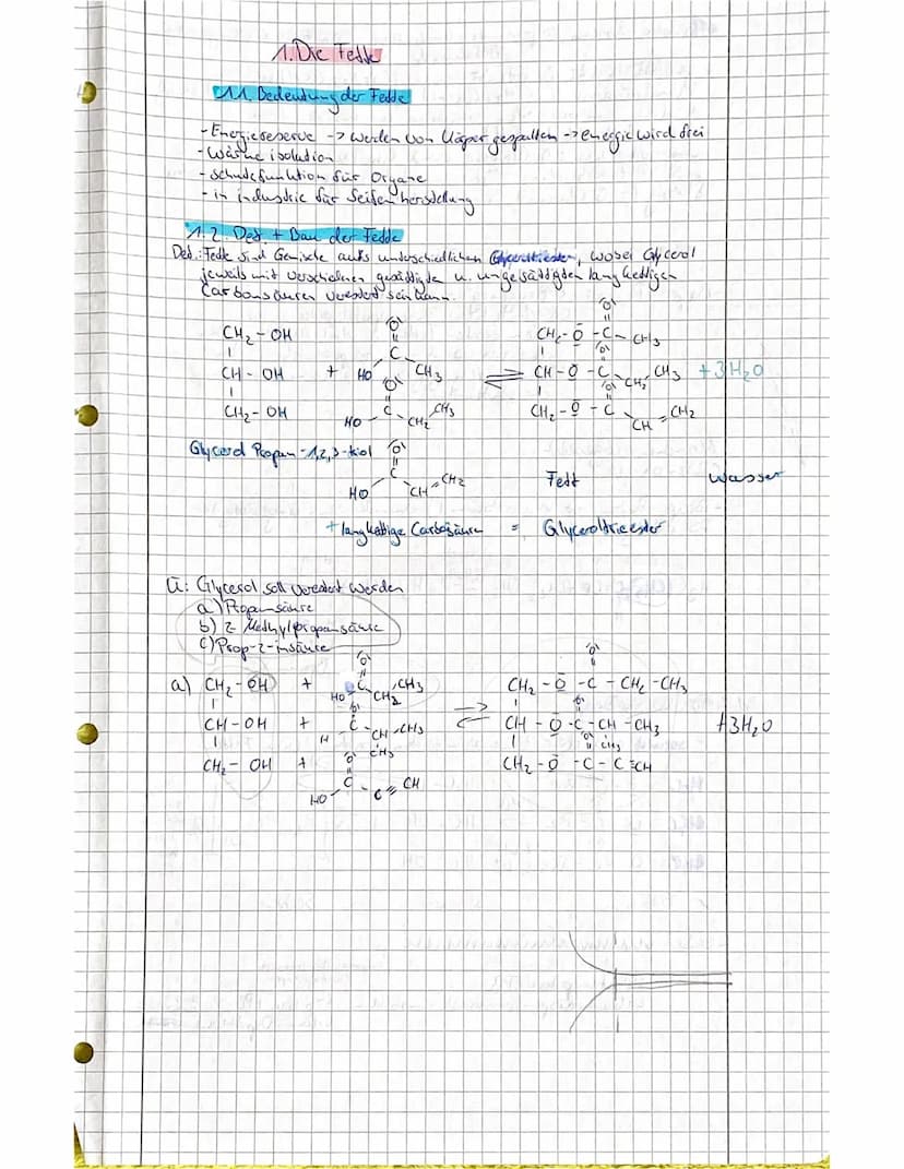 Infoblatt)
20.3 Fette chemisch betrachtet
In Suppen schwimmen die Fettaugen stets oben, sie
vermischen sich nicht mit dem Wasser. Zwei wicht